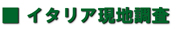 �X�y�C�����s���X�F������