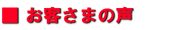 �X�y�C�����s���X�F���q���܂̐�