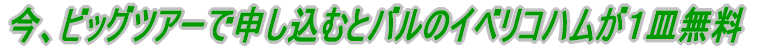 ���A�r�b�O�c�A�[�Ő\�����ނƃo���̃C�׃��R�n�����P�M���� 
