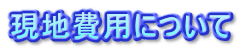 現地費用について